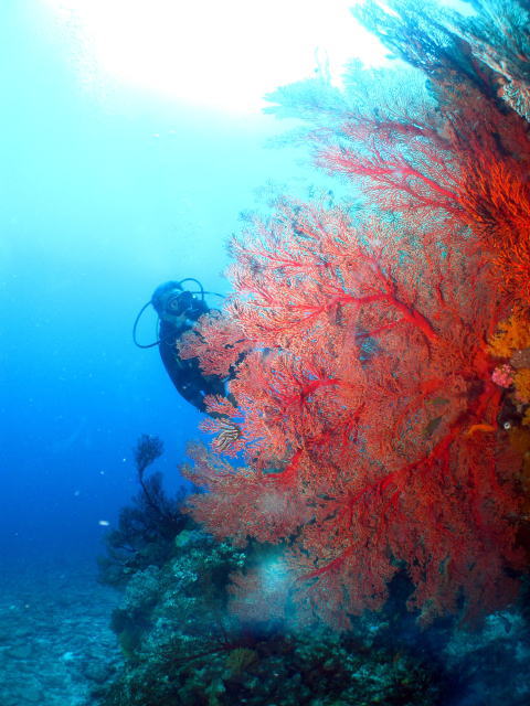 2010061702