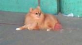 20101102171450