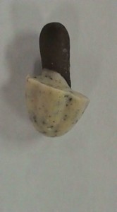 20101113124859