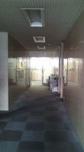 20101119142432