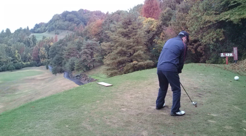 20101123075310