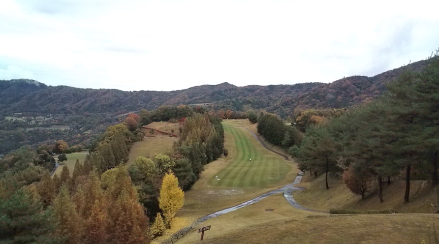 20101123105637