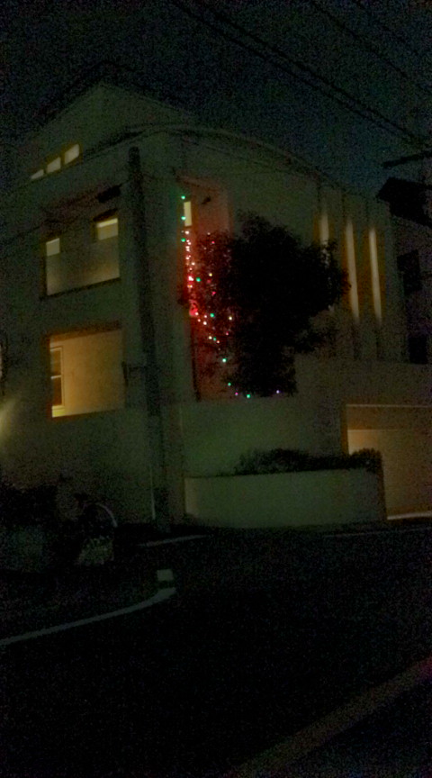 20101128195652