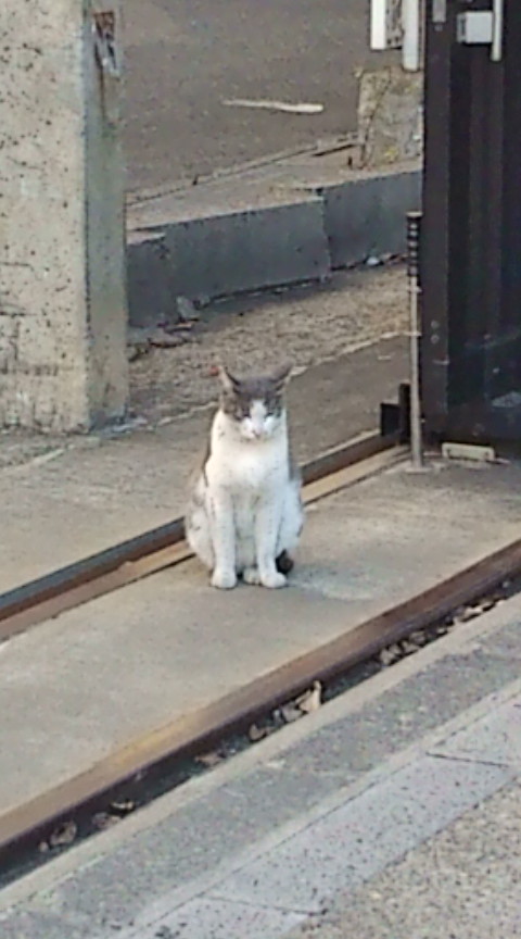20101129151700