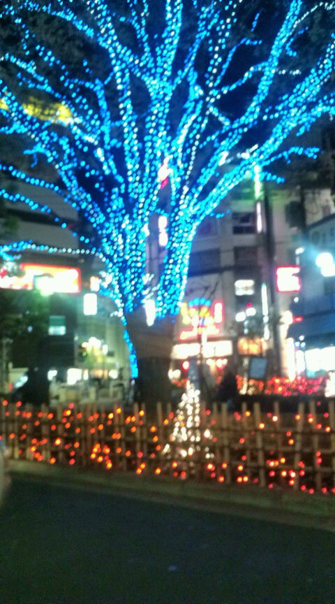 20101201230634