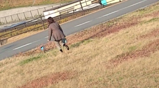 20101212144534