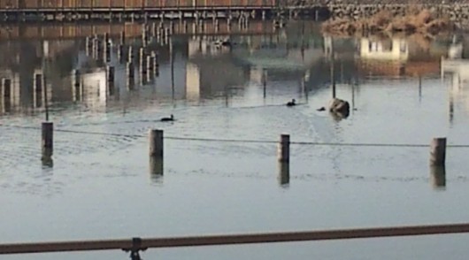 20110313084737