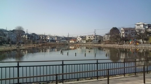 20110313084759