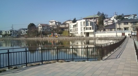 20110313084842