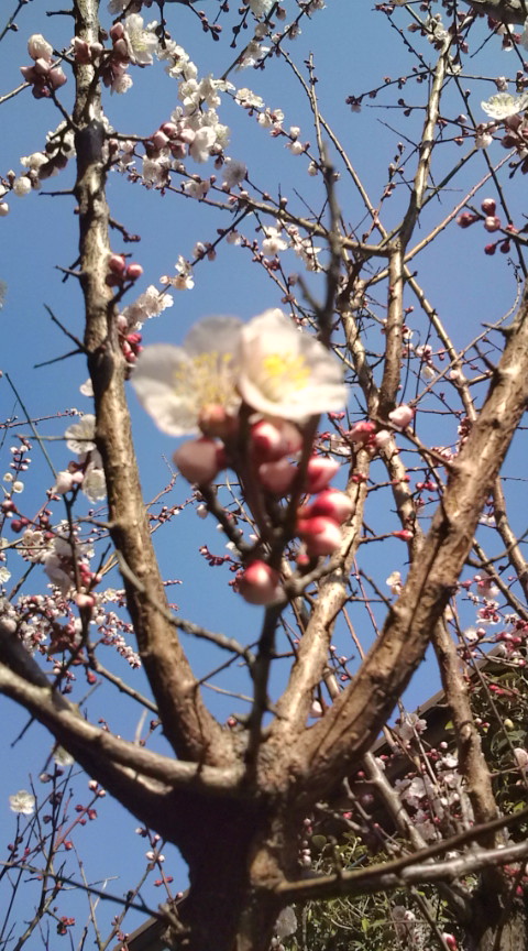 20110313085740