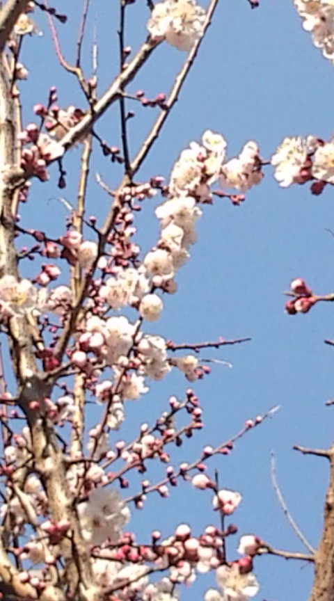 20110313085853