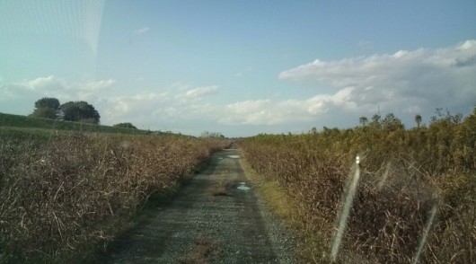 20111120142329