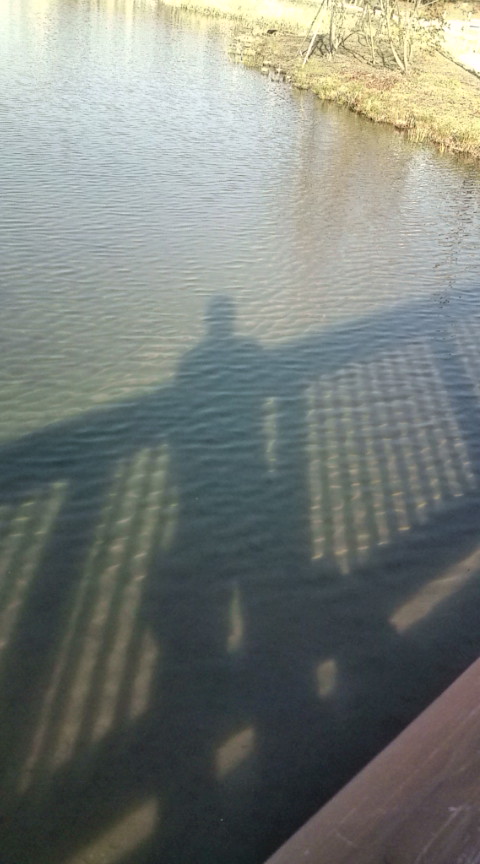 20120109140913
