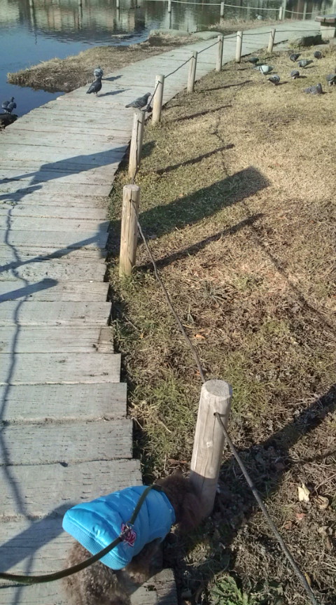 20120109141623