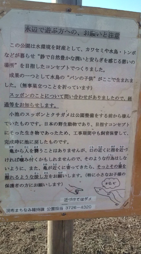 20120109141707