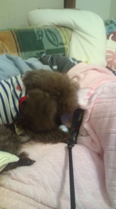20120207232214