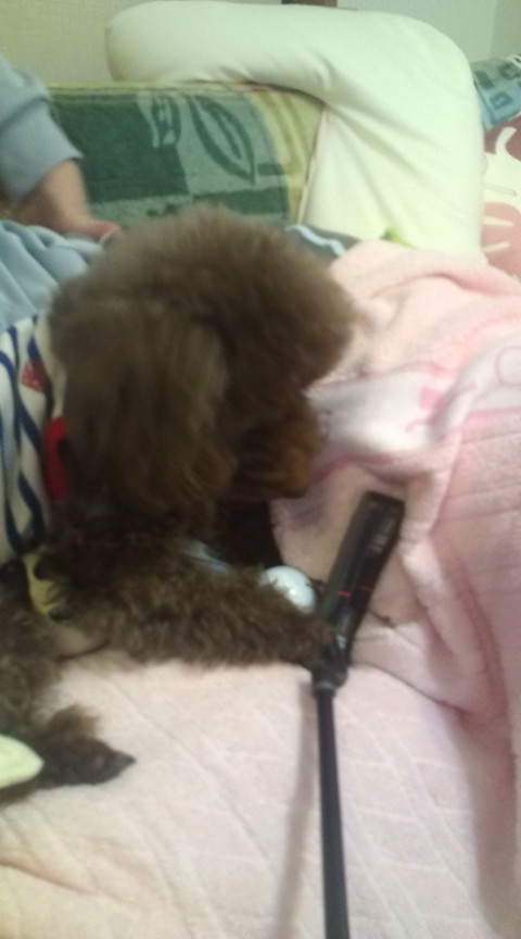 20120207232228