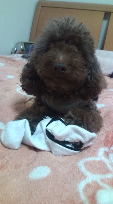 20120219230117