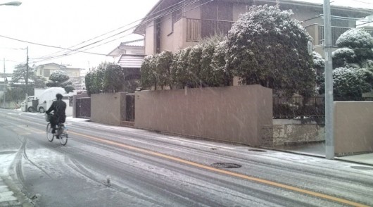 20120229081526