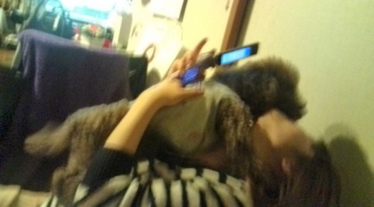 20120303225158