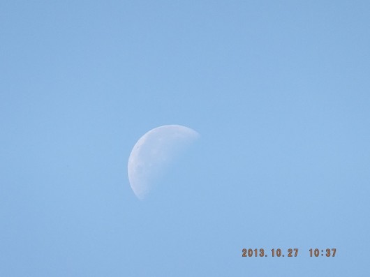 DSCF1568