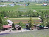 DSCN0537