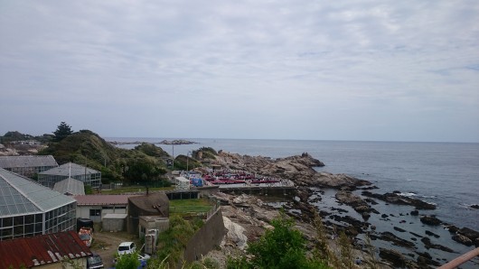 DSC_0113