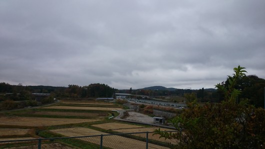 DSC_2392