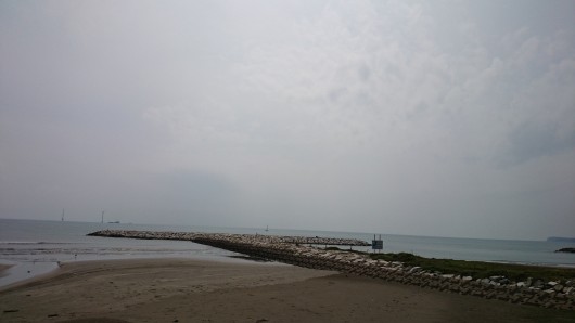 DSC_2941