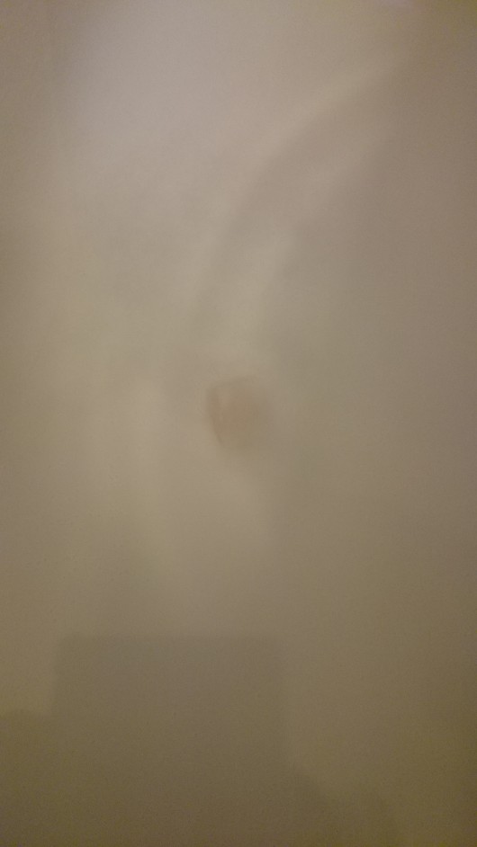 DSC_4199