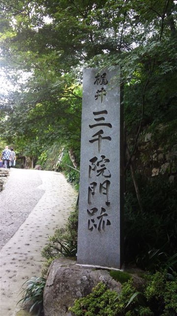 NCM_1137
